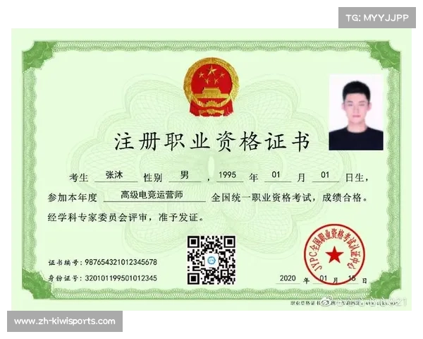 中国电竞教育标准发布 聚焦六大职业能力认证助力行业发展 中国电竞教育标准发布 聚焦六大职业能力认证助力行业发展